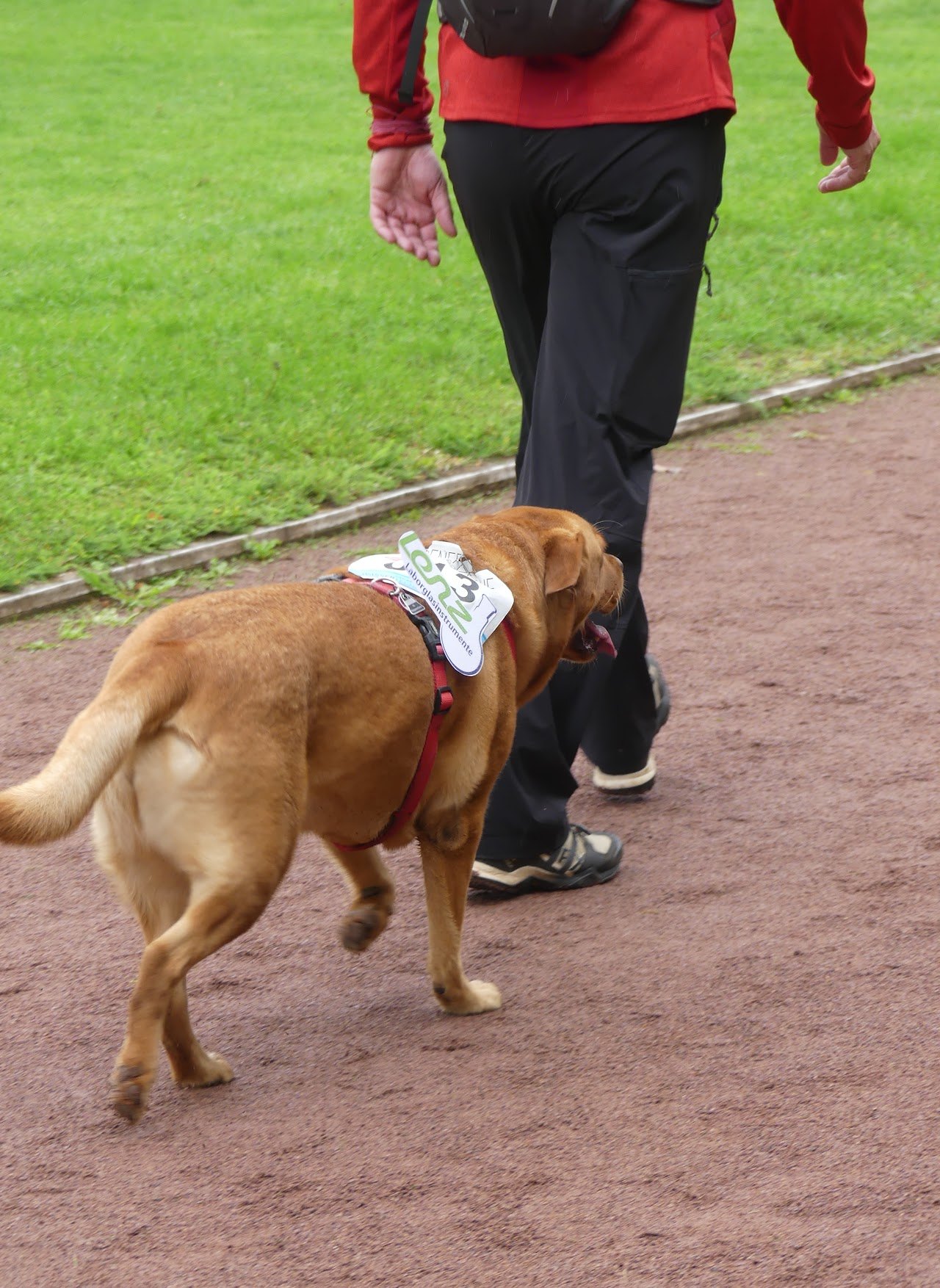 Bild vom 13. Benefizlauf im Jahr 2022. Dies ist das 311. Bild.